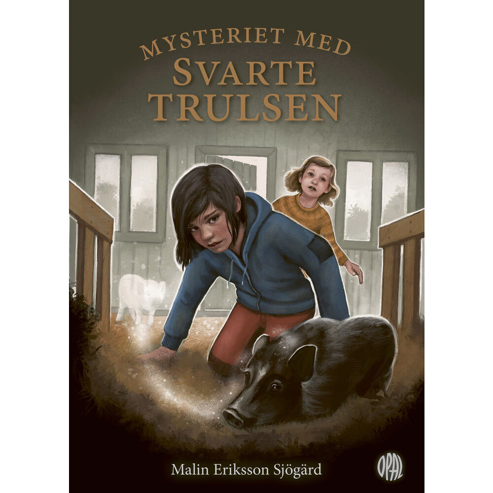 Malin Eriksson Sjögärd Mysteriet med Svarte Trulsen (inbunden)
