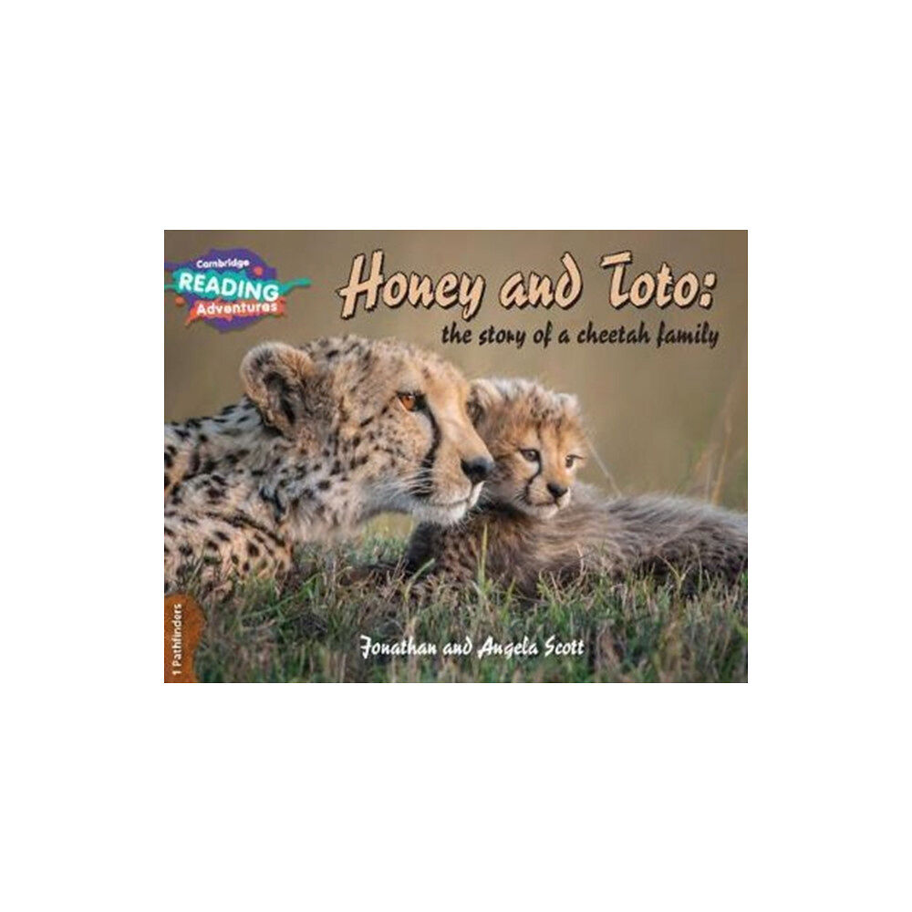 Cambridge University Press Cambridge Reading Adventures Honey and Toto: The Story of a Cheetah Family 1 Pathfinders (häftad, eng)