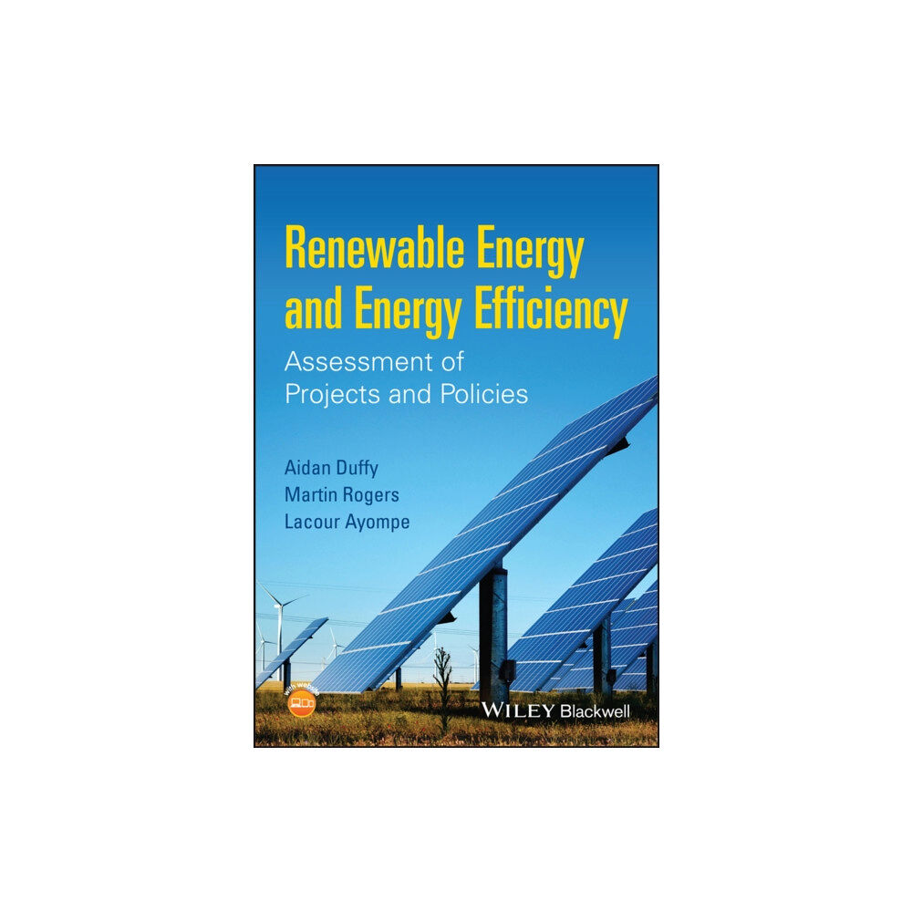 John Wiley And Sons Ltd Renewable Energy and Energy Efficiency (häftad, eng)