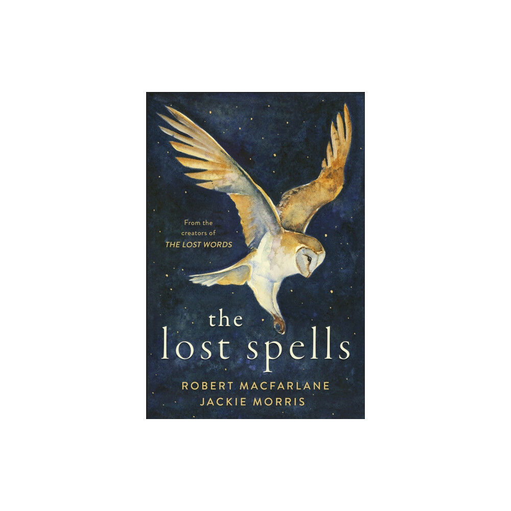 Penguin books ltd The Lost Spells (inbunden, eng)
