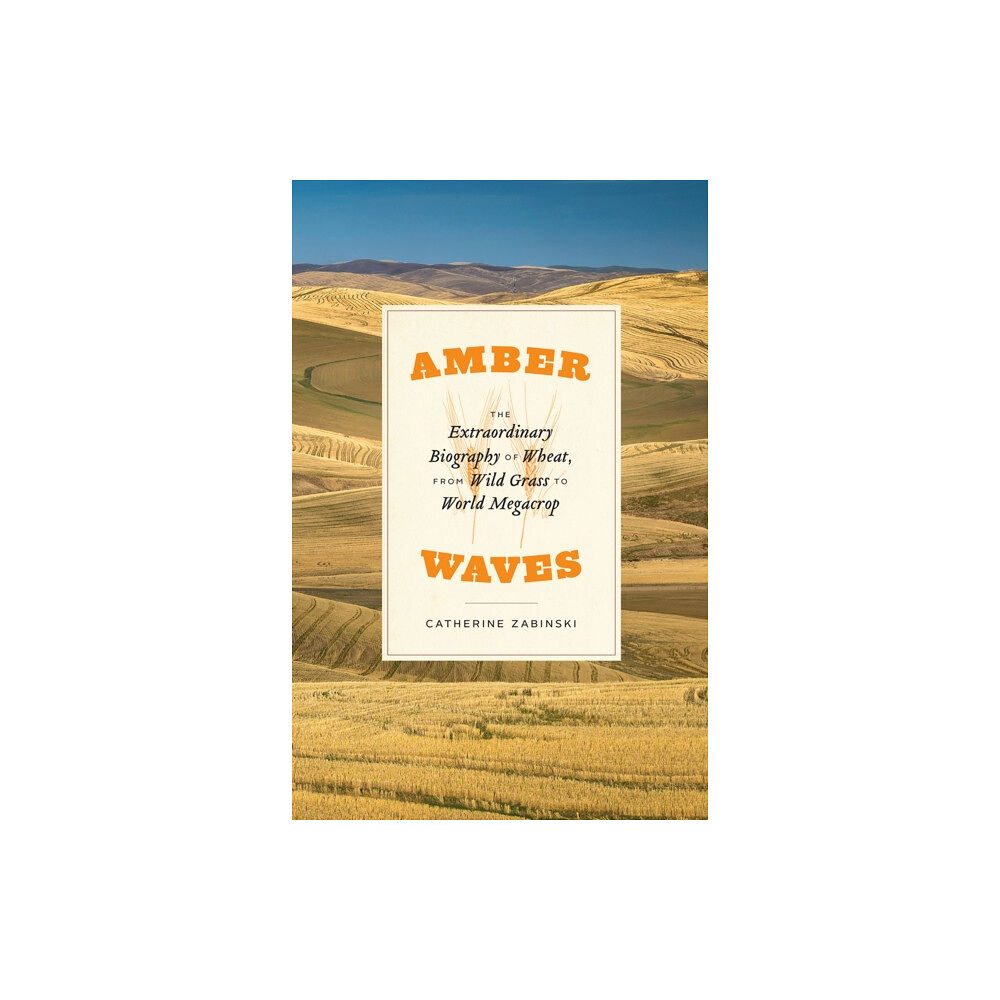 The university of chicago press Amber Waves (inbunden, eng)