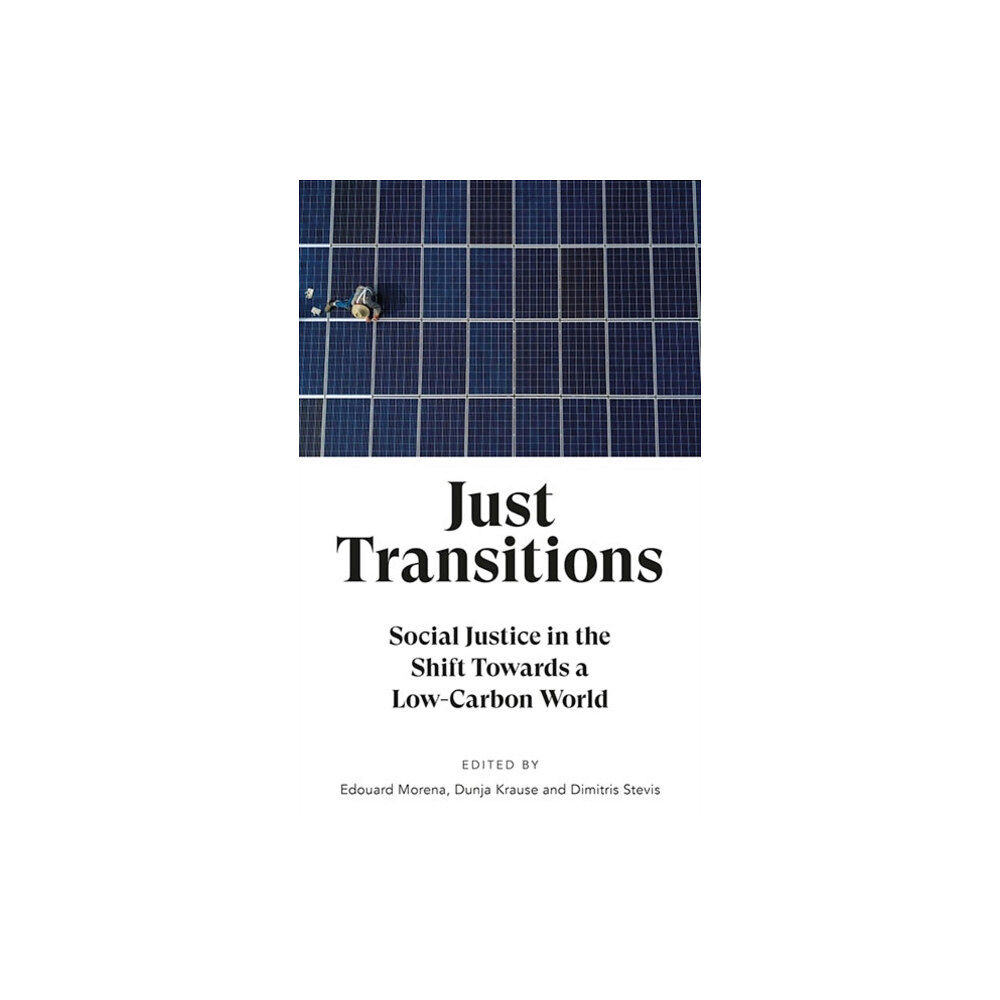 Pluto Press Just Transitions (häftad, eng)