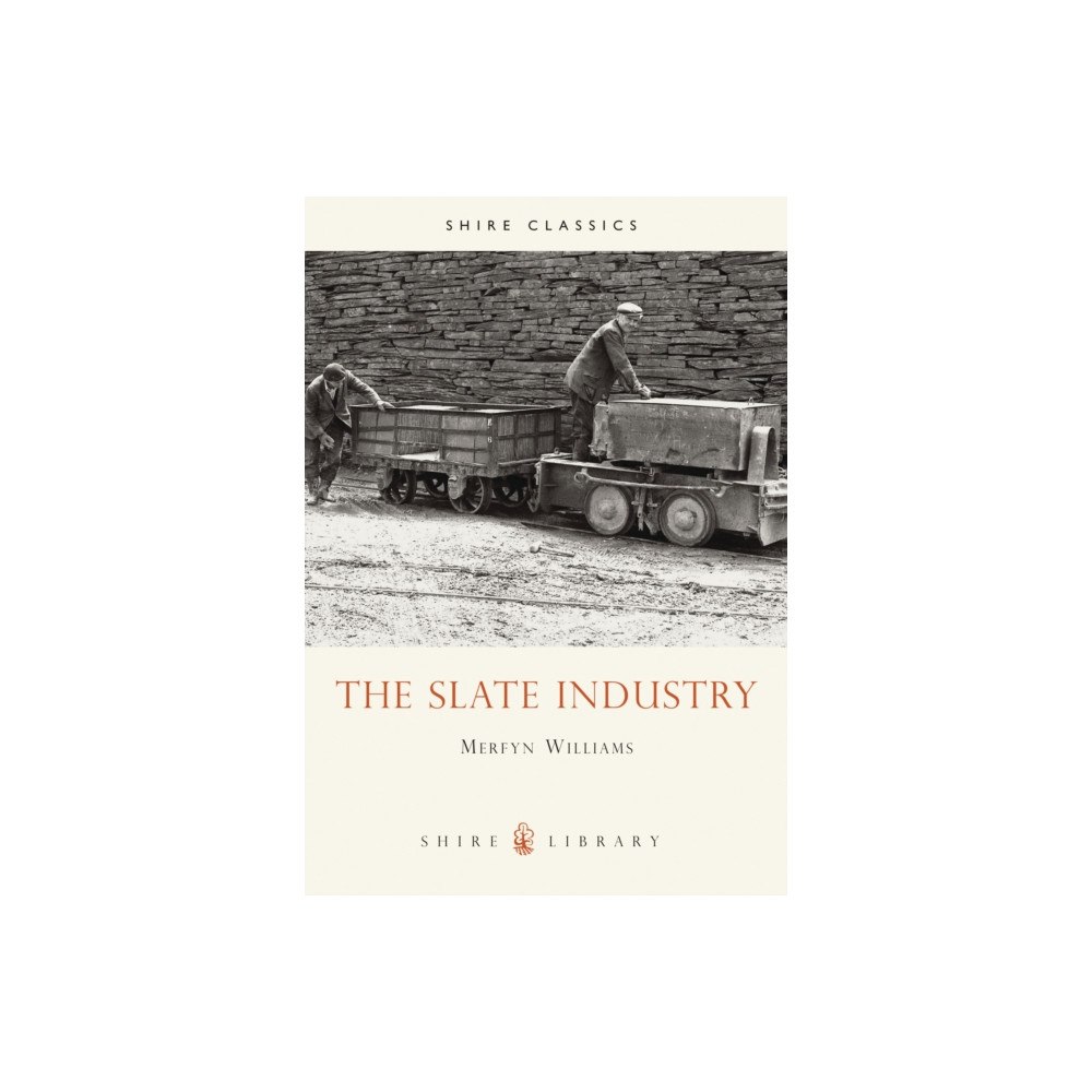 Bloomsbury Publishing PLC The Slate Industry (häftad, eng)