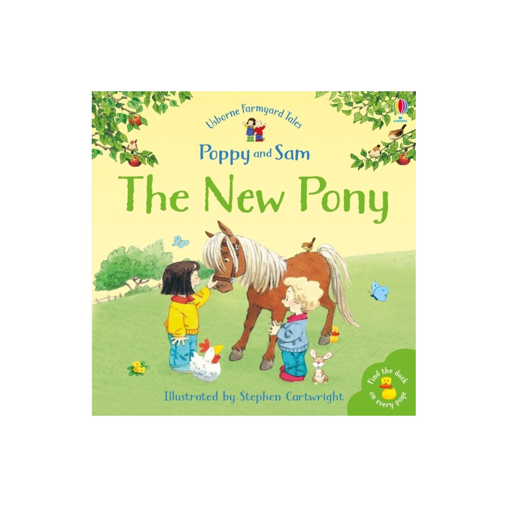 Usborne Publishing Ltd The New Pony (häftad, eng)