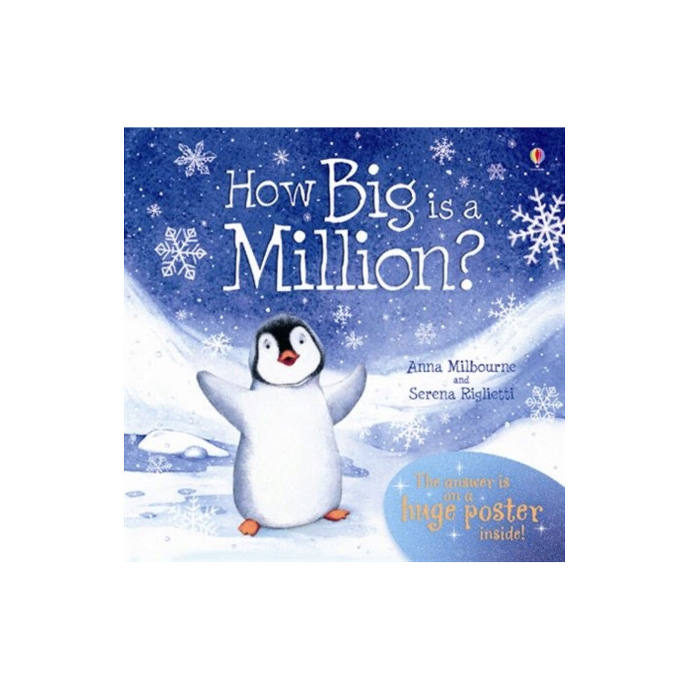 Usborne Publishing Ltd How Big is a Million? (inbunden, eng)