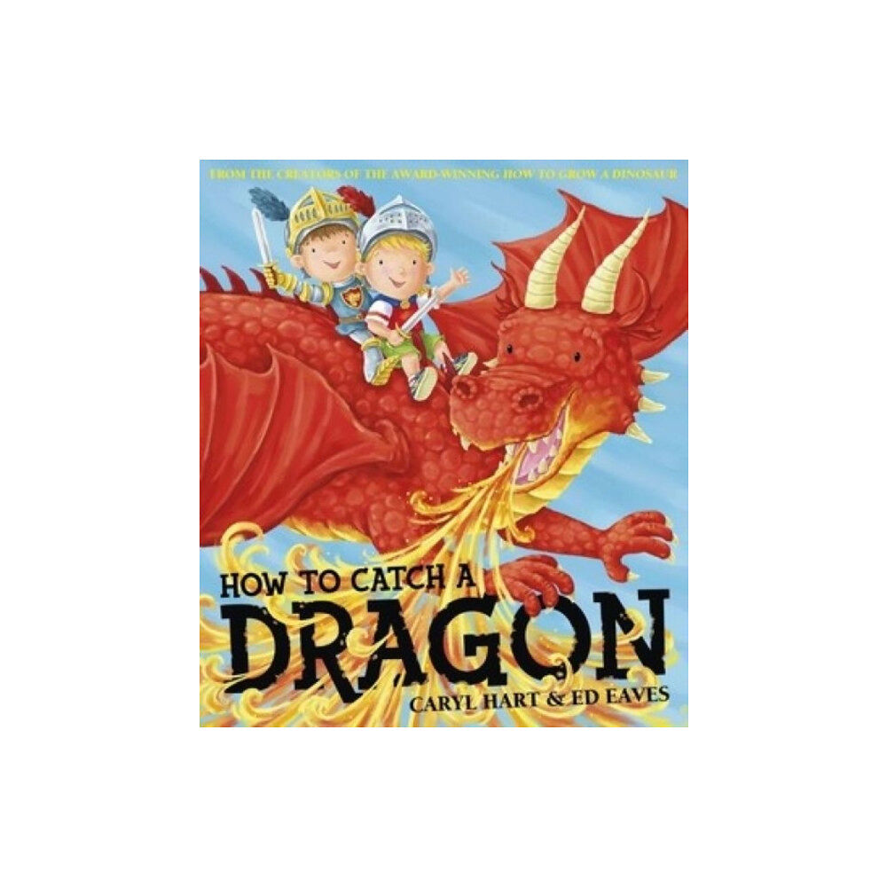 Simon & Schuster Ltd How To Catch a Dragon (häftad, eng)