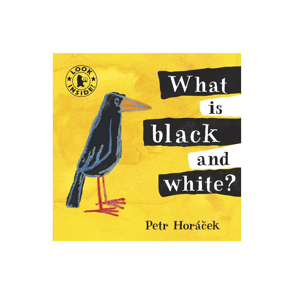 Walker Books Ltd What Is Black and White? (bok, board book, eng)