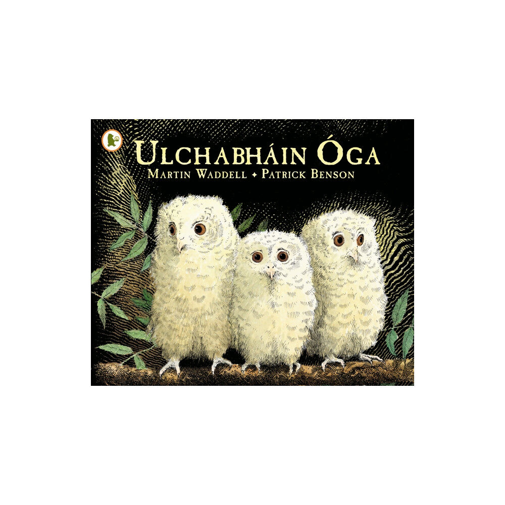 Walker Books Ltd Ulchabhain Oga (Owl Babies) (häftad, gle)