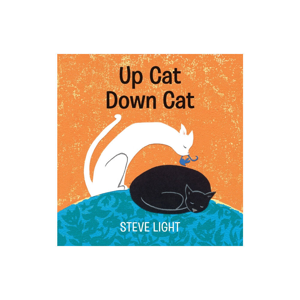 Walker Books Ltd Up Cat Down Cat (bok, board book, eng)