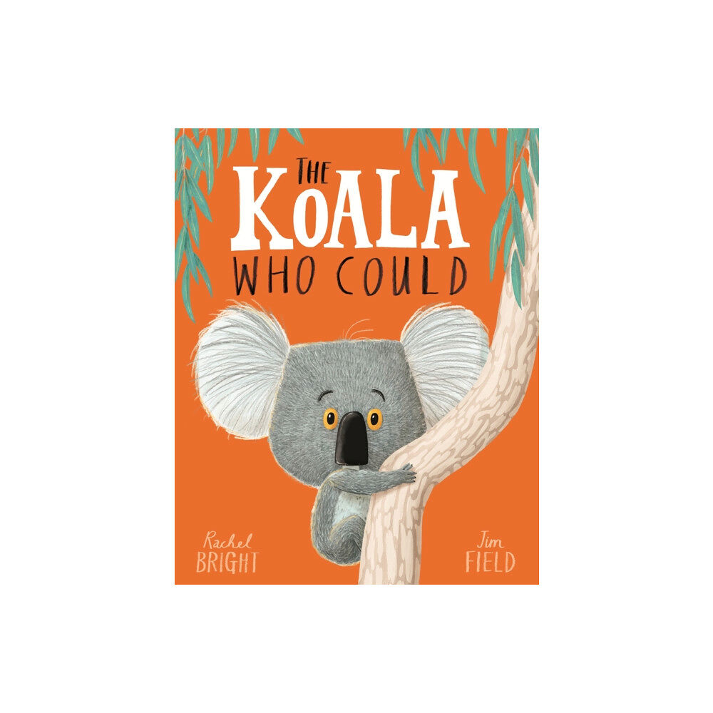 Hachette Children's Group The Koala Who Could (häftad, eng)