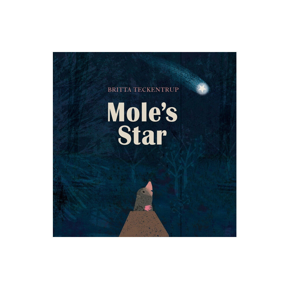 Hachette Children's Group Mole's Star (häftad, eng)