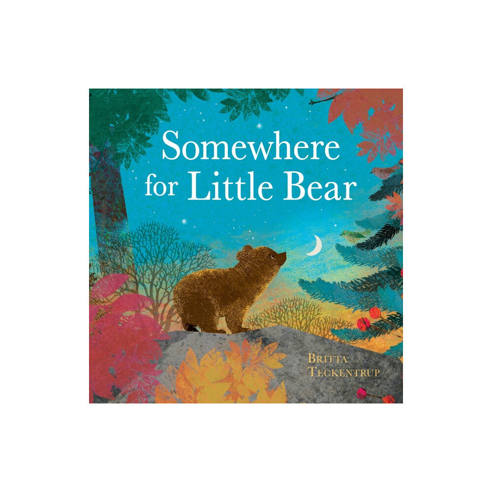 Hachette Children's Group Somewhere for Little Bear (inbunden, eng)