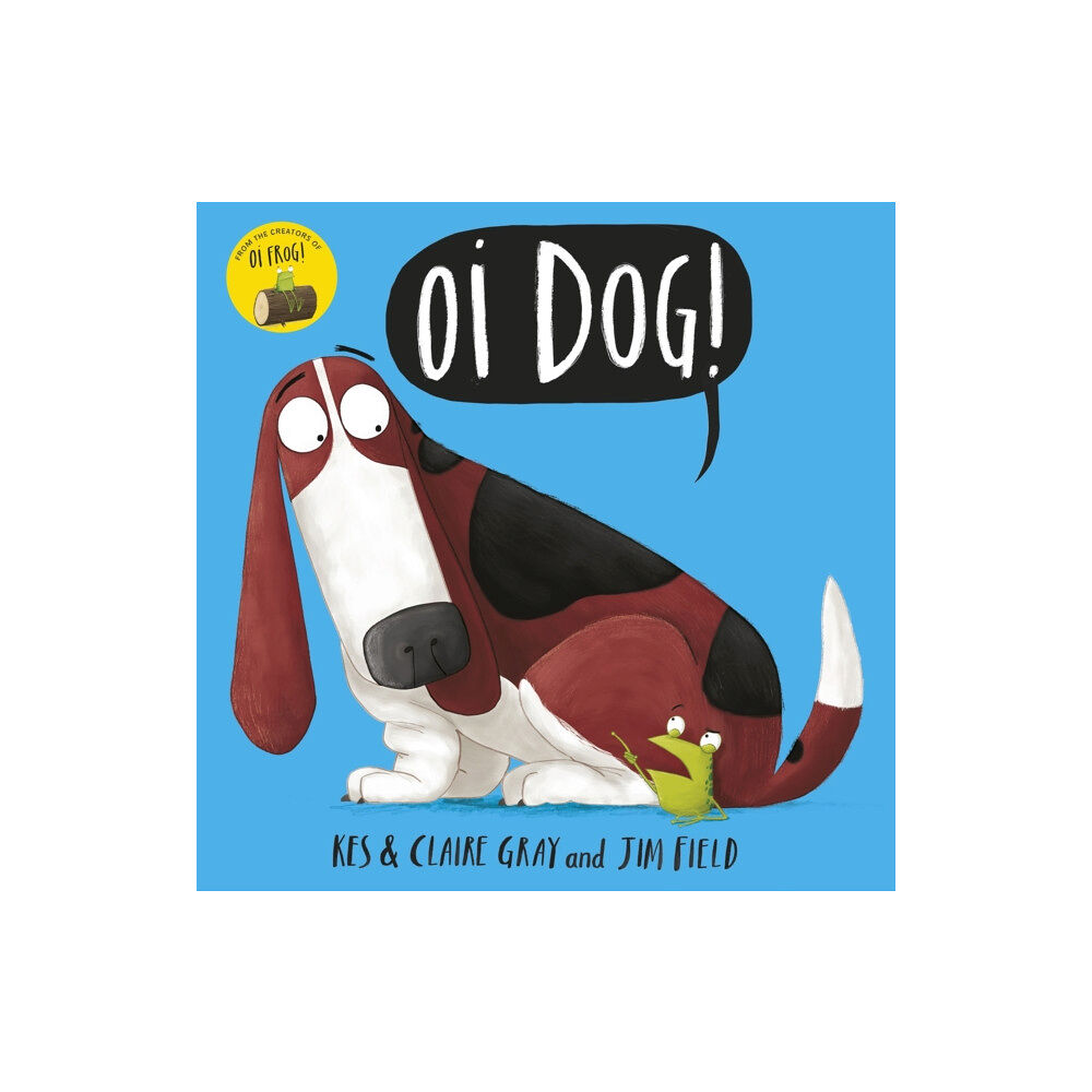 Hachette Children's Group Oi Dog! (häftad, eng)