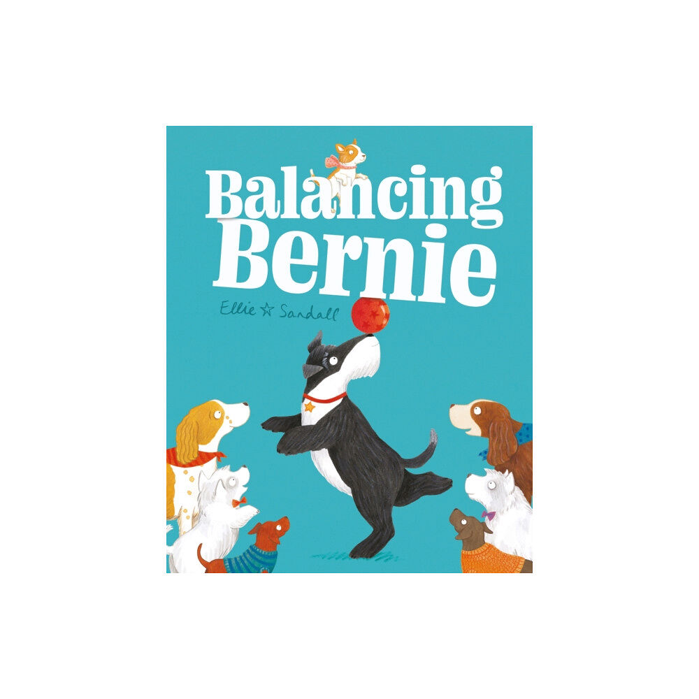 Hachette Children's Group Balancing Bernie (häftad, eng)