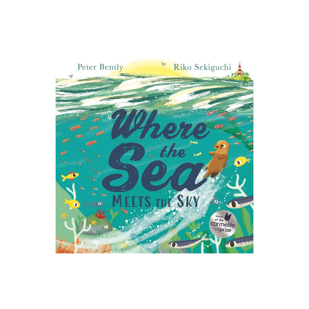 Hachette Children's Group Where the Sea Meets the Sky (häftad, eng)