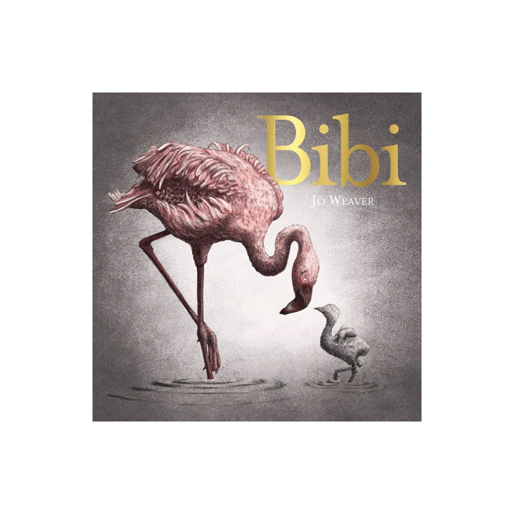 Hachette Children's Group Bibi (inbunden, eng)