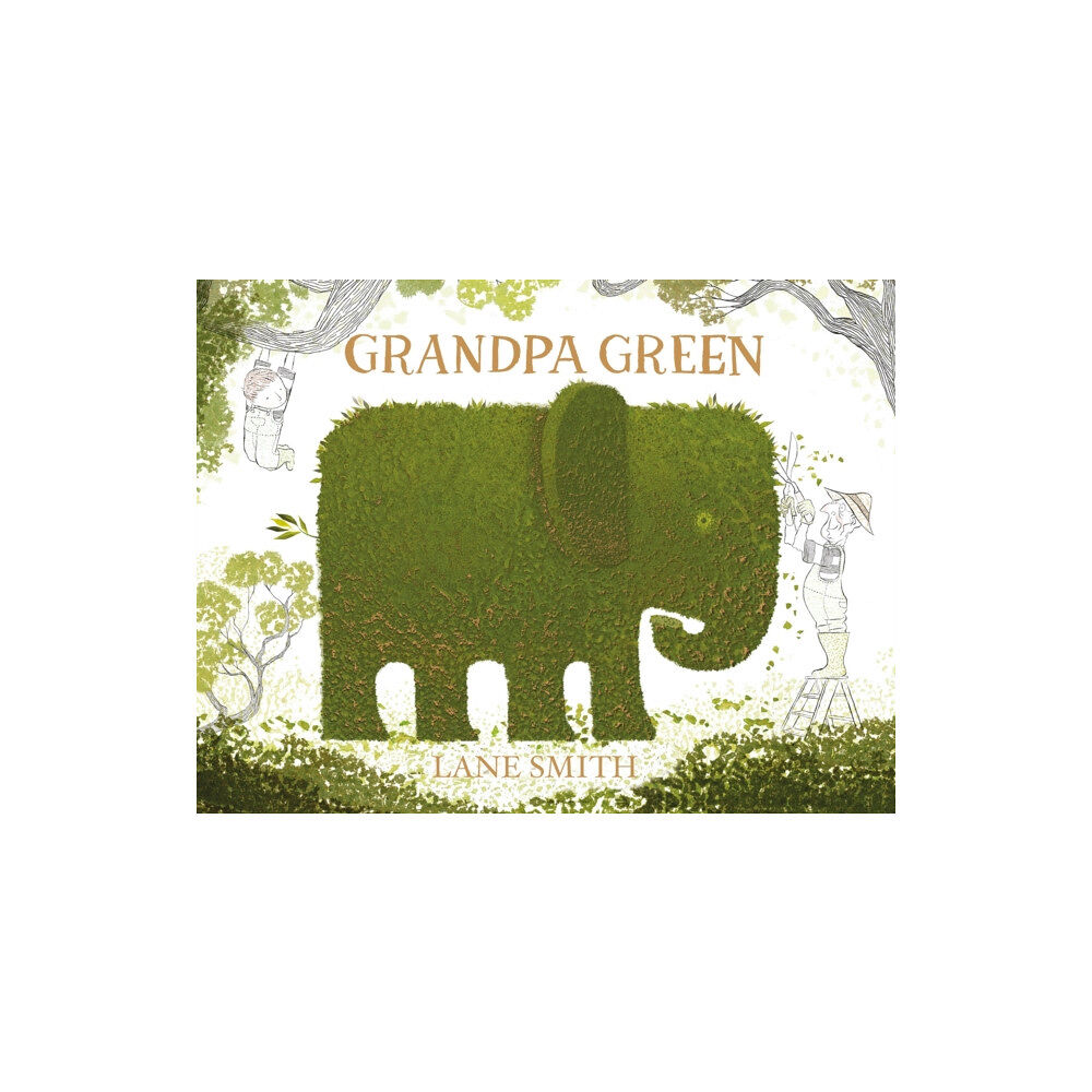 Pan Macmillan Grandpa Green (häftad, eng)