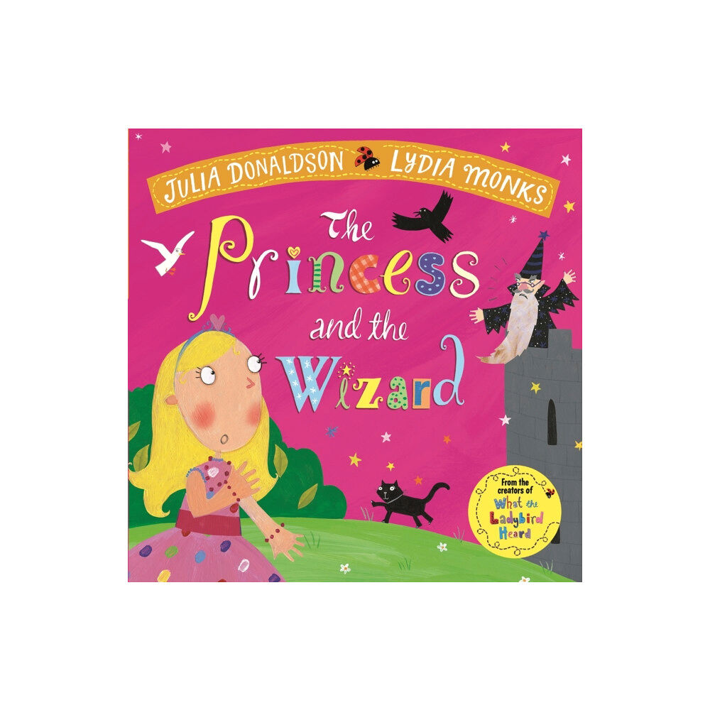 Pan Macmillan The Princess and the Wizard (häftad, eng)
