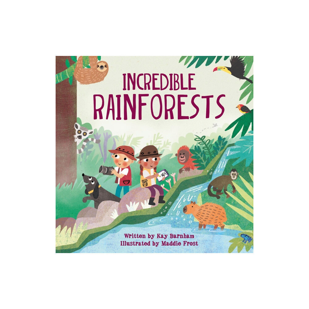 Hachette Children's Group Look and Wonder: Incredible Rainforests (häftad, eng)