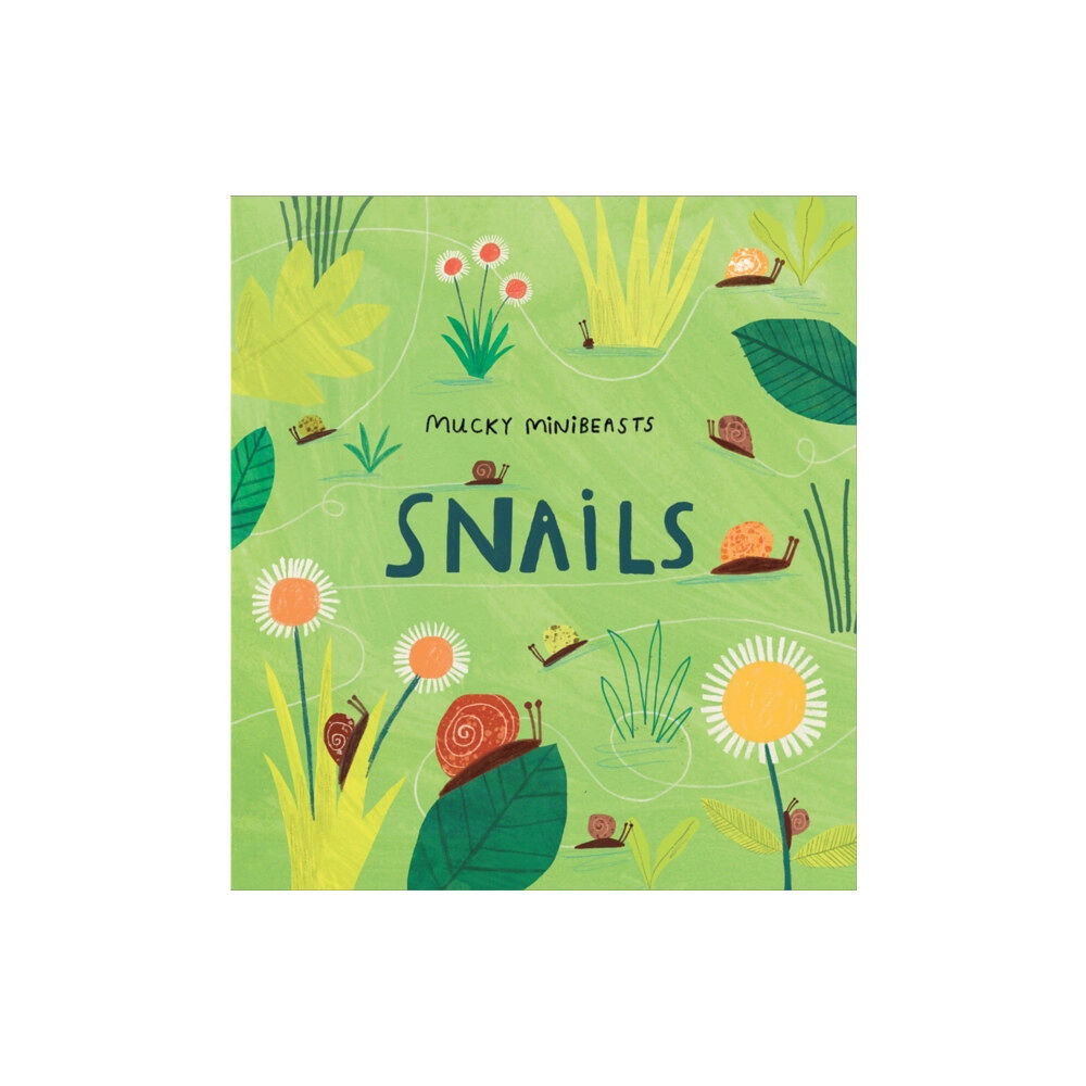 Hachette Children's Group Mucky Minibeasts: Snails (häftad, eng)