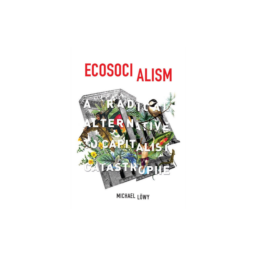 Haymarket Books Ecosocialism (häftad, eng)