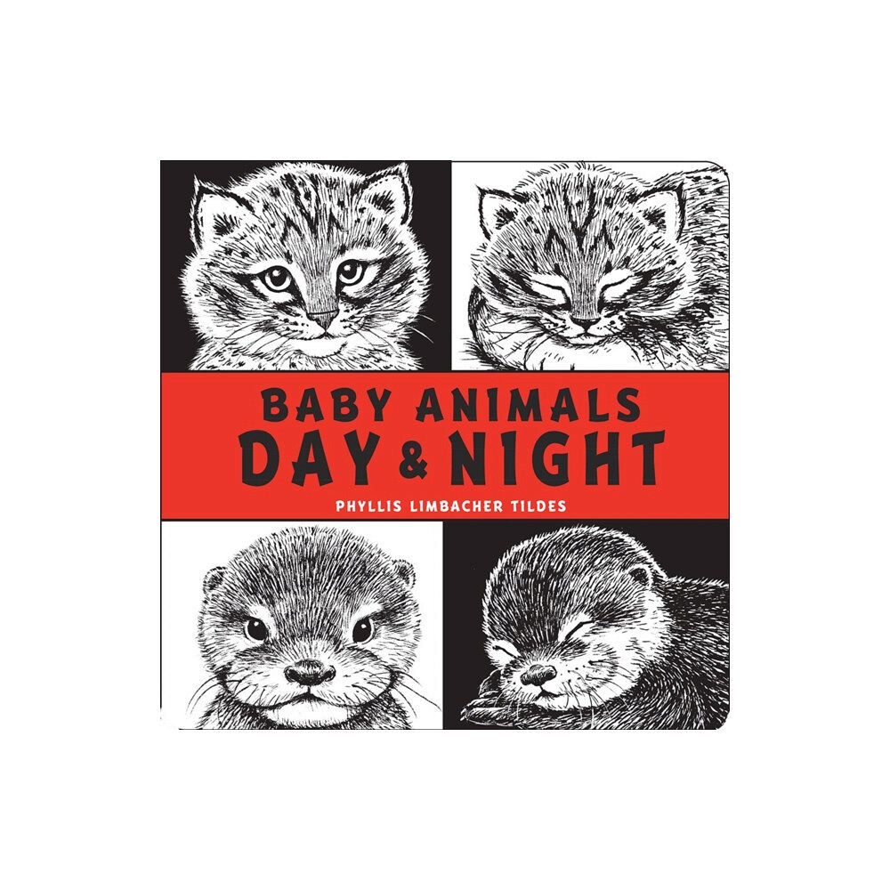 Charlesbridge Publishing,U.S. Baby Animals Day & Night (bok, board book, eng)