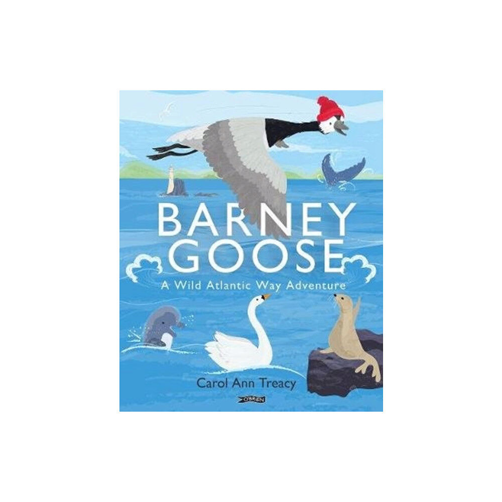 O'Brien Press Ltd Barney Goose (inbunden, eng)