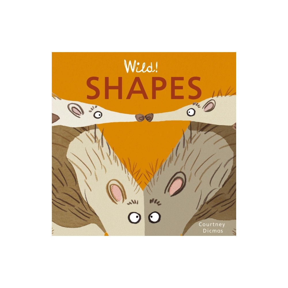 Child's Play International Ltd Shapes (bok, board book, eng)