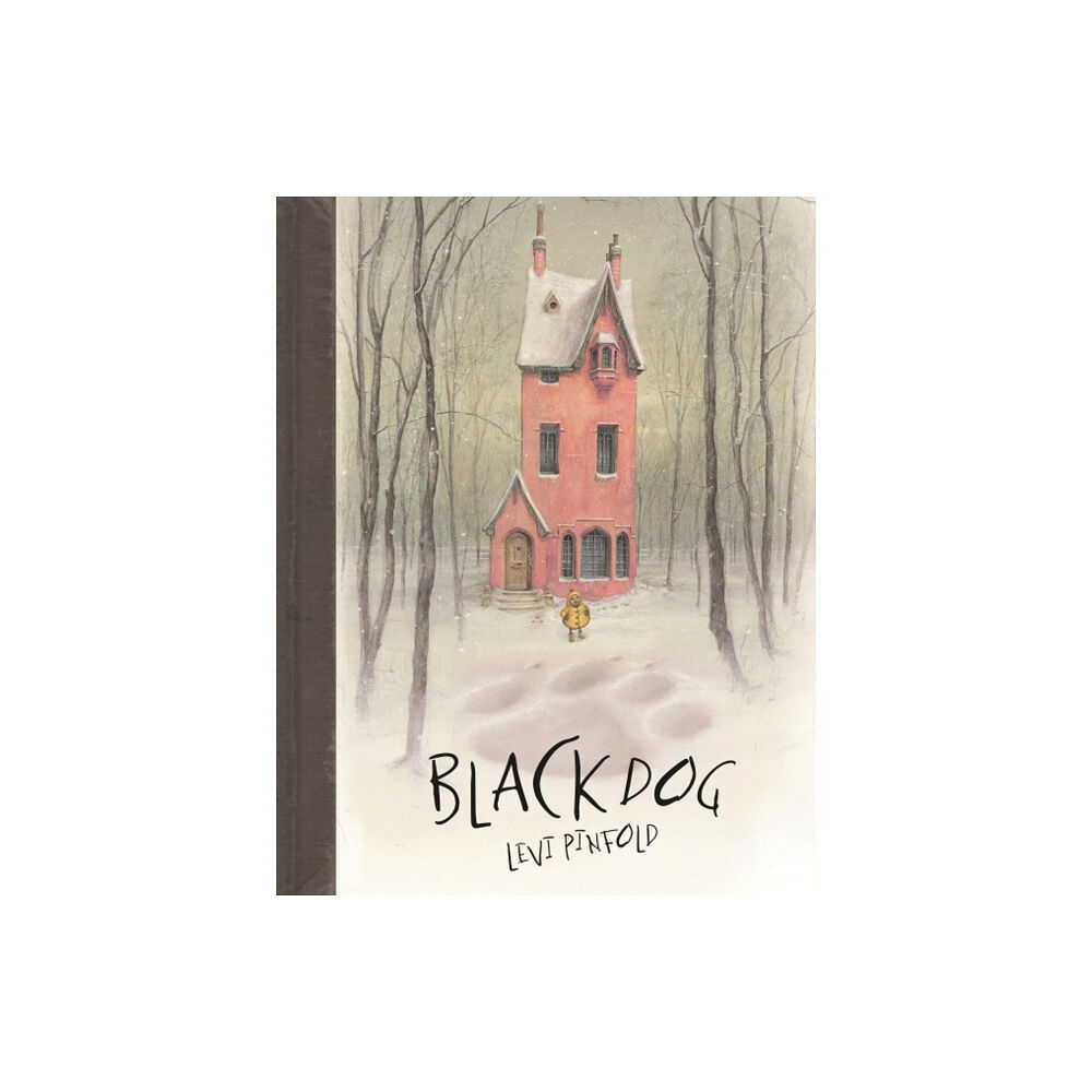 Templar Publishing Black Dog (häftad, eng)