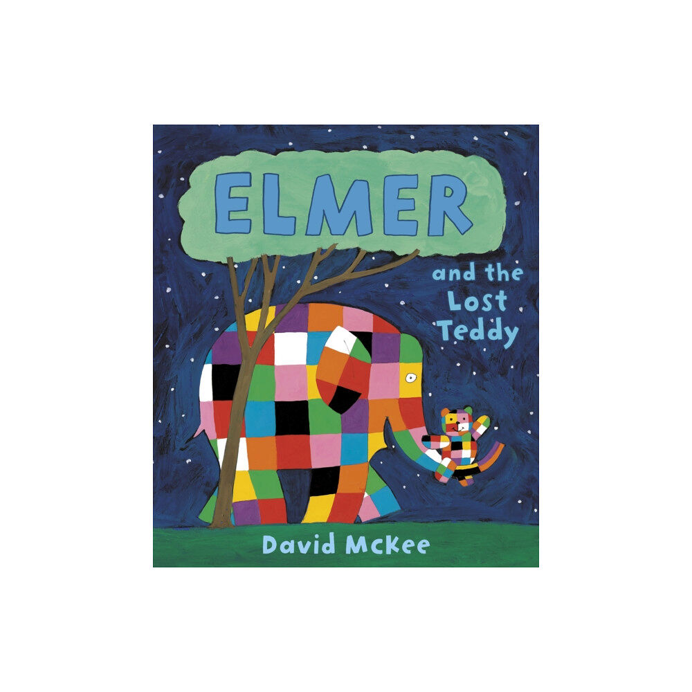 Andersen Press Ltd Elmer and the Lost Teddy (häftad, eng)