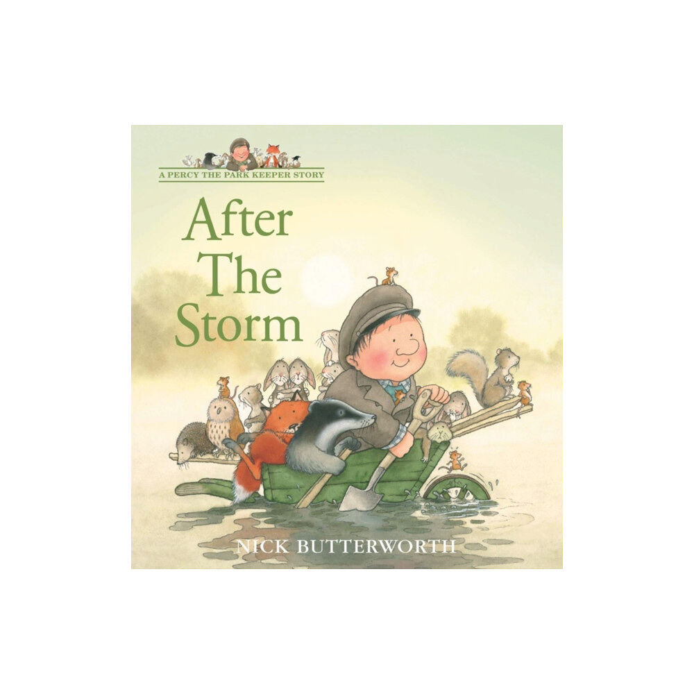 HarperCollins Publishers After the Storm (häftad, eng)