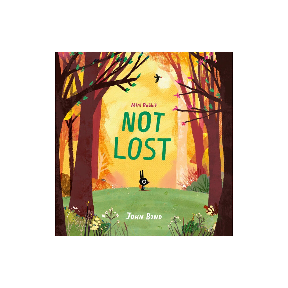 HarperCollins Publishers Mini Rabbit Not Lost (häftad, eng)