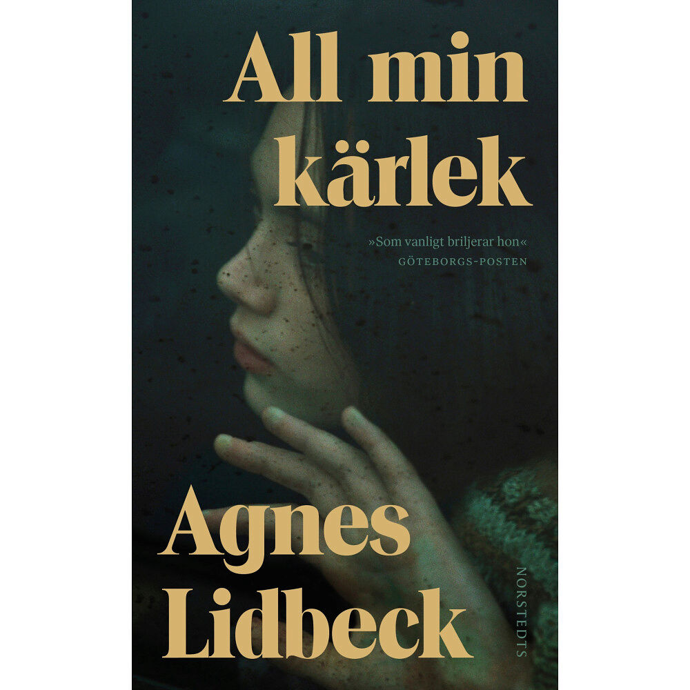 Agnes Lidbeck All min kärlek (pocket)