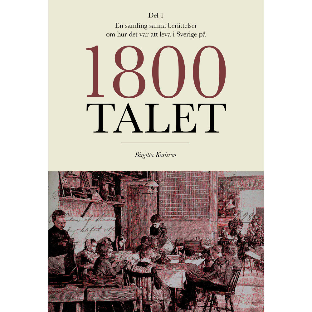 Birgitta Karlsson En samling sanna berättelser om hur det var att leva i Sverige på 1800-talet (häftad)