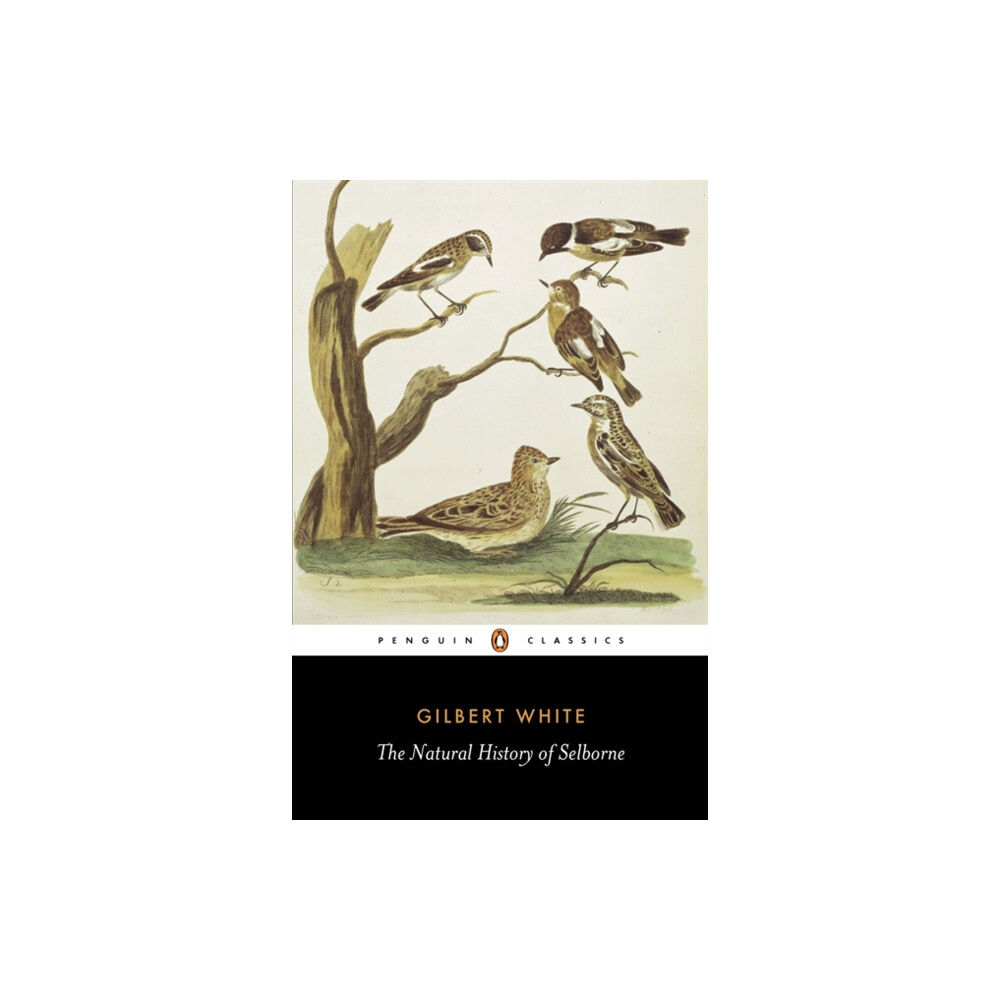 Penguin books ltd The Natural History of Selborne (häftad, eng)