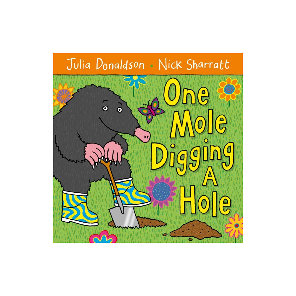 Pan Macmillan One Mole Digging A Hole (häftad, eng)