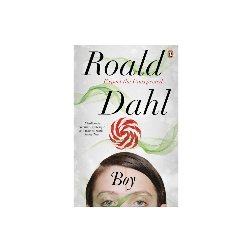 Penguin books ltd Boy (häftad, eng)