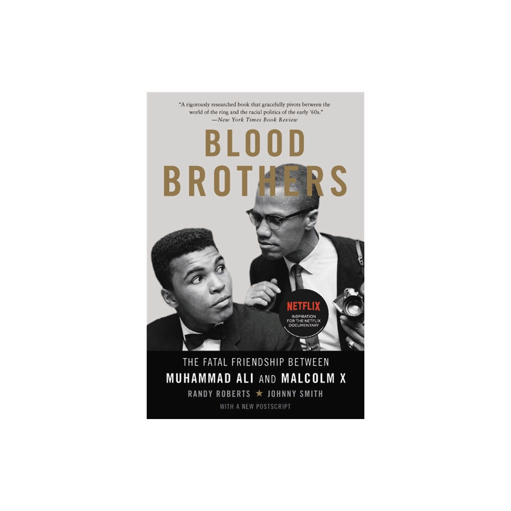 Basic Books Blood Brothers (häftad, eng)