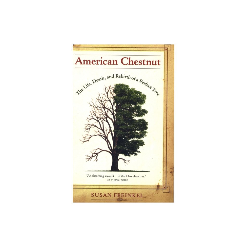 University of california press American Chestnut (häftad, eng)