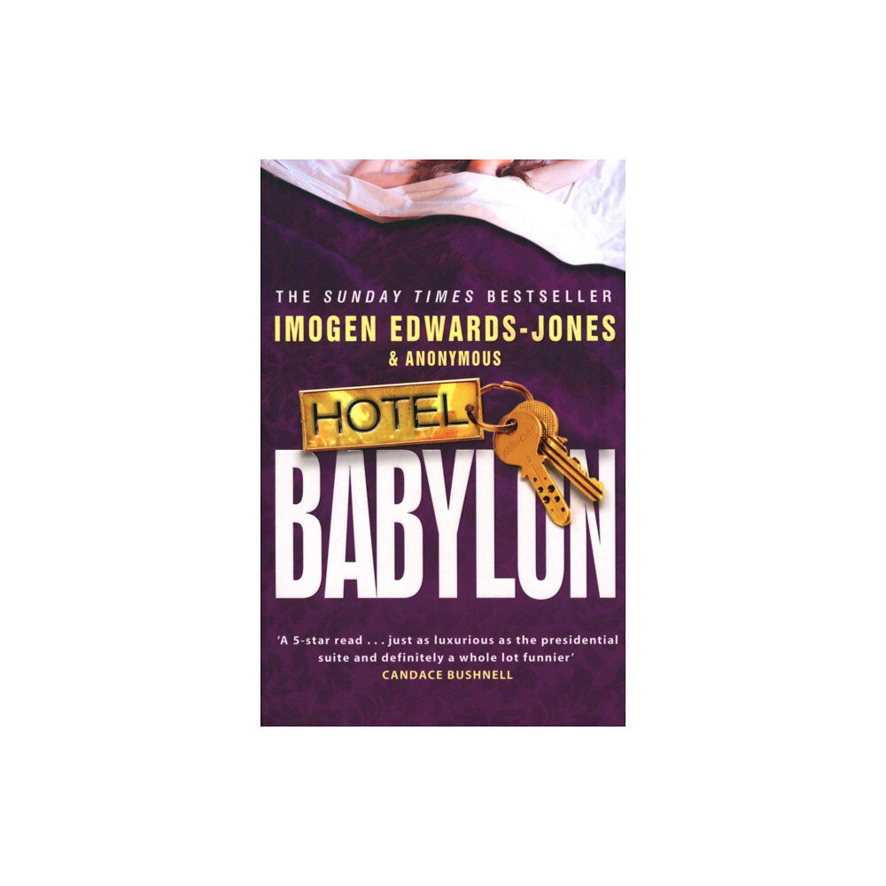 Transworld publishers ltd Hotel Babylon (häftad, eng)