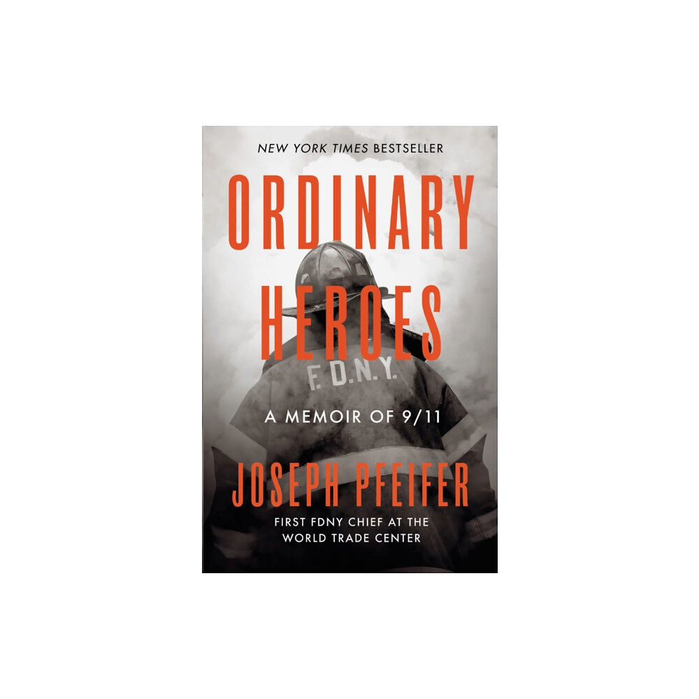 Penguin Putnam Inc Ordinary Heroes (inbunden, eng)