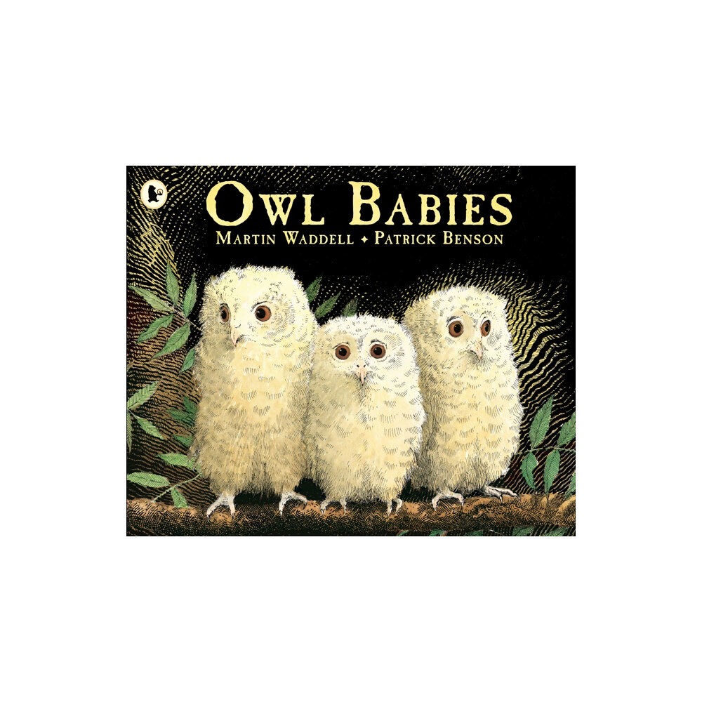 Walker Books Ltd Owl Babies (häftad, eng)