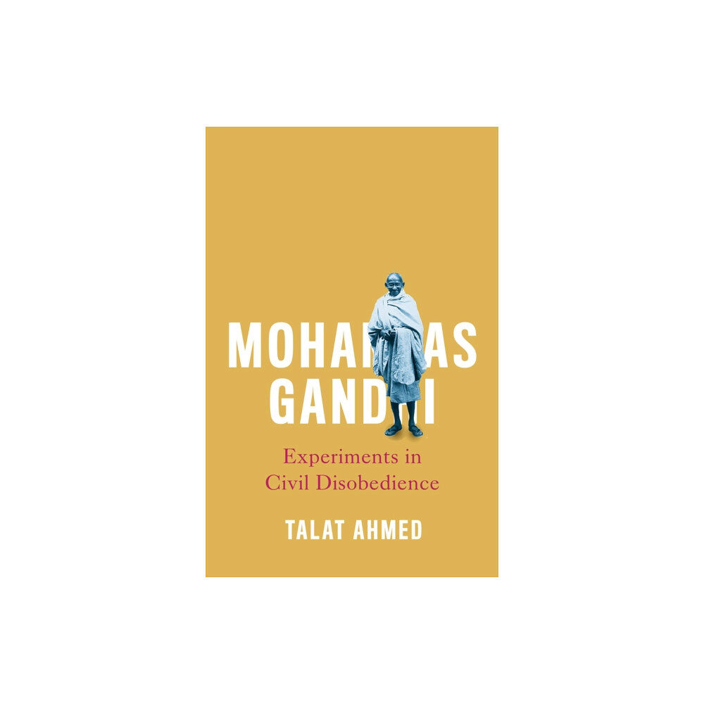 Pluto Press Mohandas Gandhi (häftad, eng)