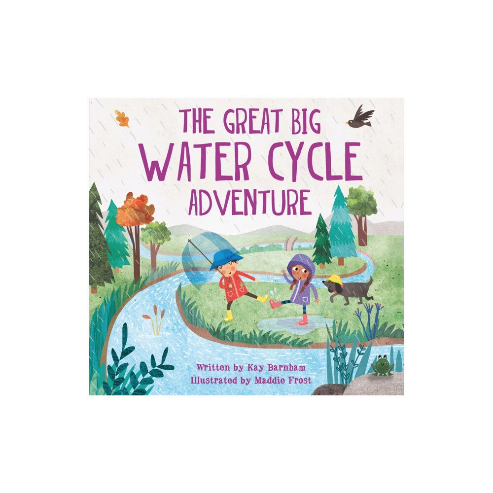 Hachette Children's Group Look and Wonder: The Great Big Water Cycle Adventure (häftad, eng)