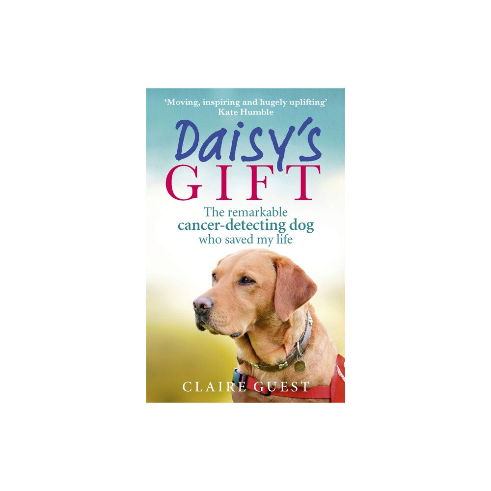 Ebury Publishing Daisy’s Gift (häftad, eng)