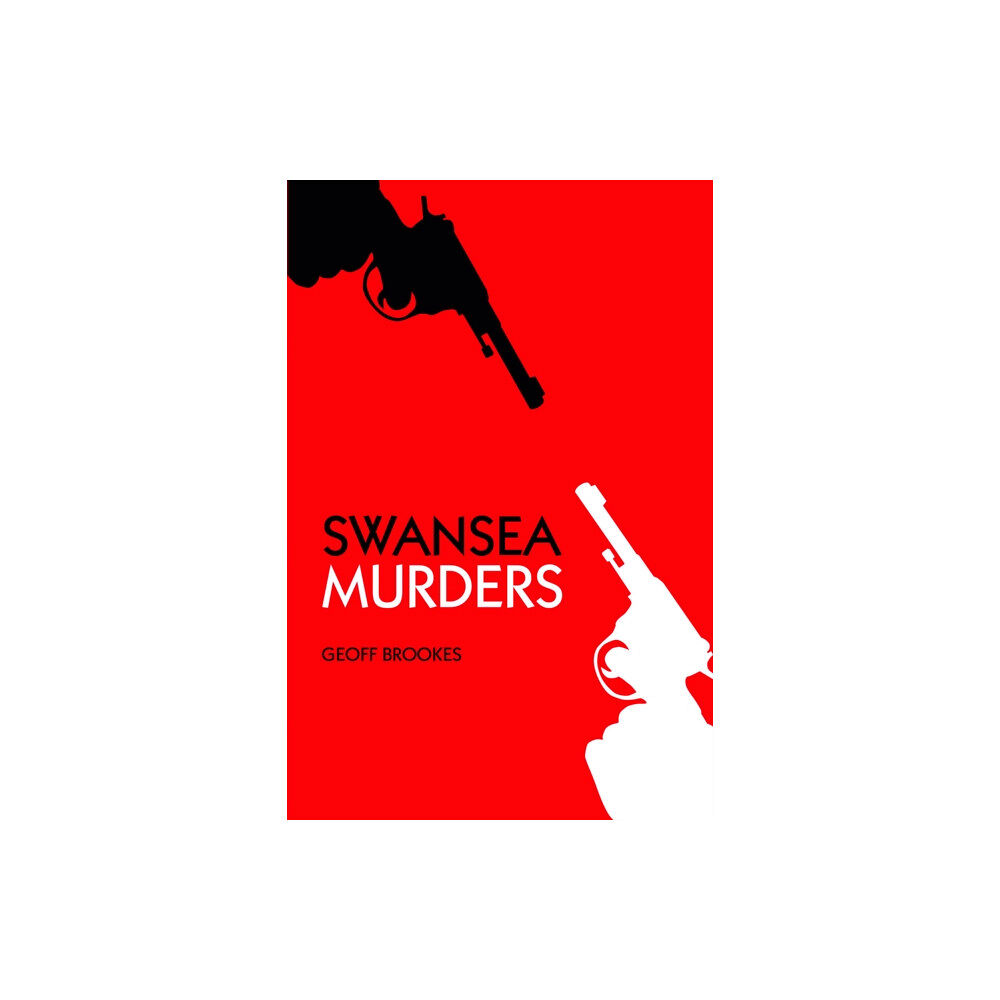 The History Press Ltd Swansea Murders (häftad, eng)