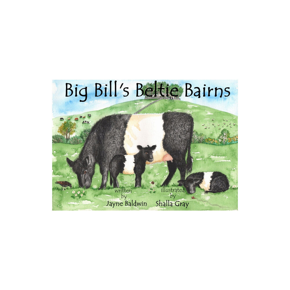 Curly Tale Books Big Bill's Beltie Bairns (häftad, eng)