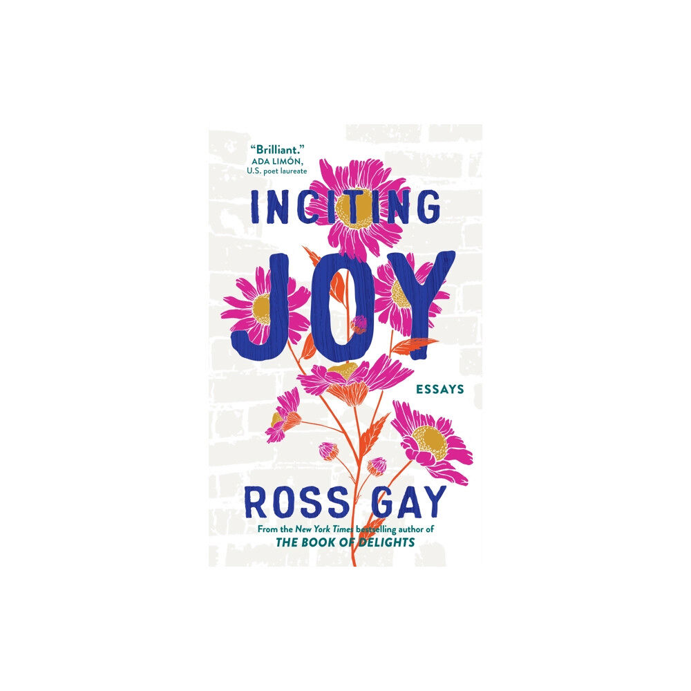 Hodder & Stoughton Inciting Joy (häftad, eng)