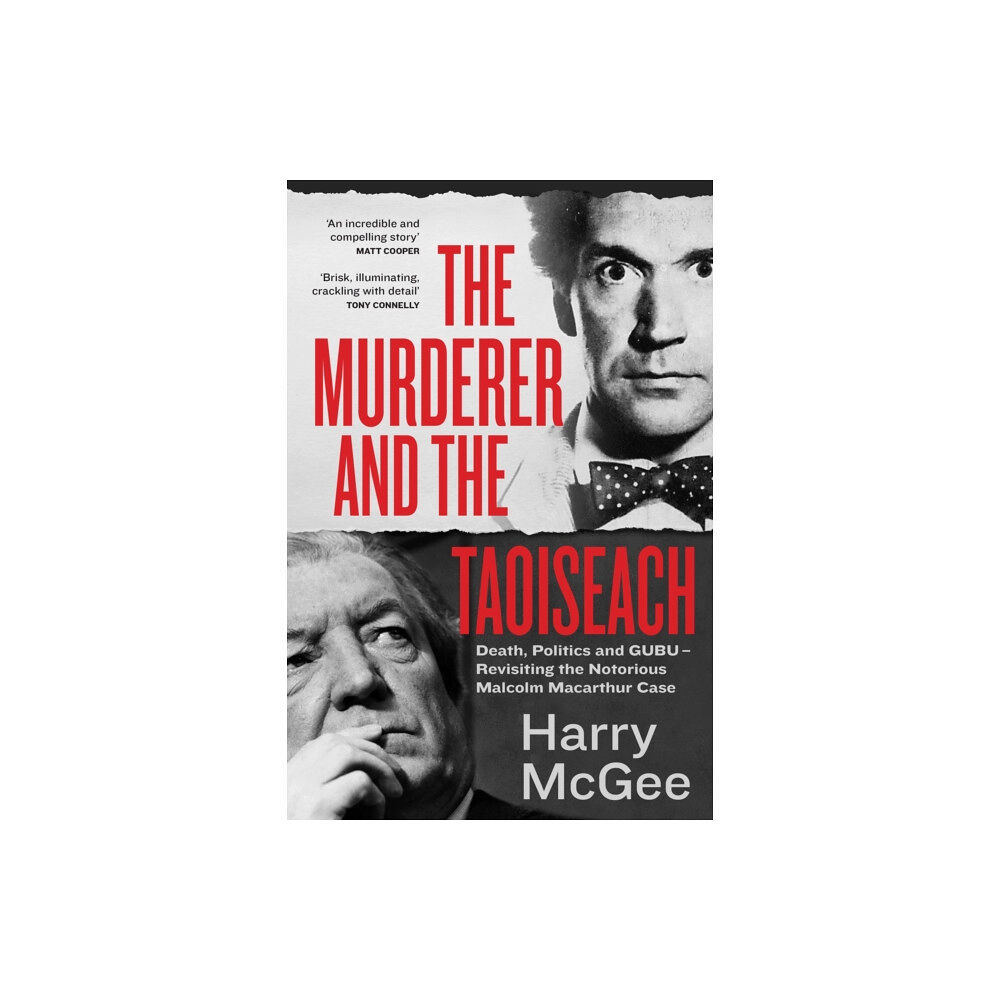 Hachette Books Ireland The Murderer and the Taoiseach (häftad, eng)