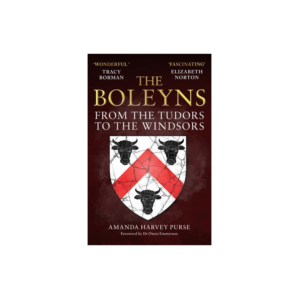 Amberley Publishing The Boleyns (häftad, eng)